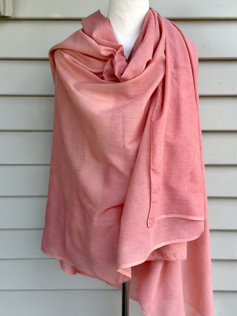 N14 - Coral in the Pink - Image 3